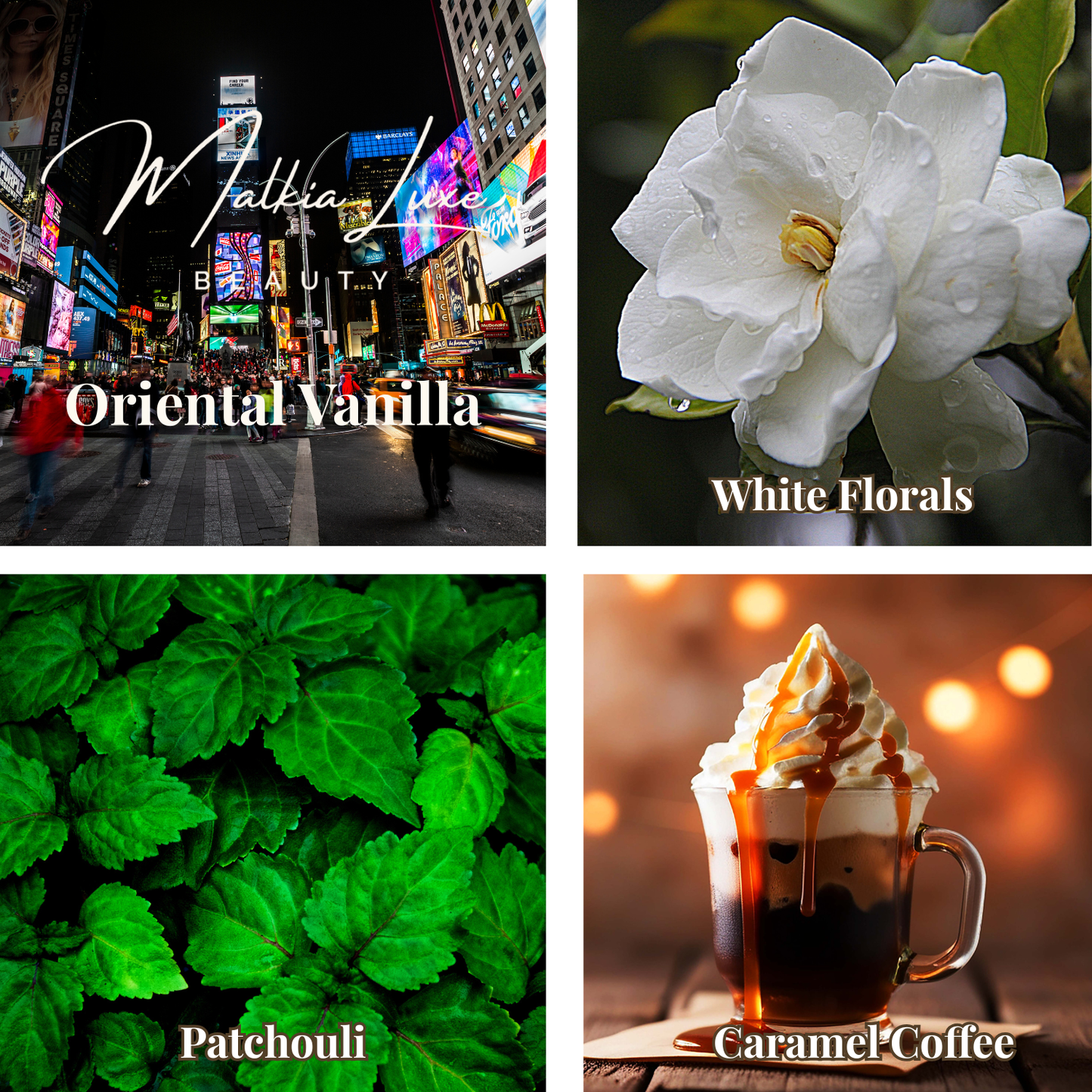 A Night in New York 8 oz Body Oil | Jet Set Collection